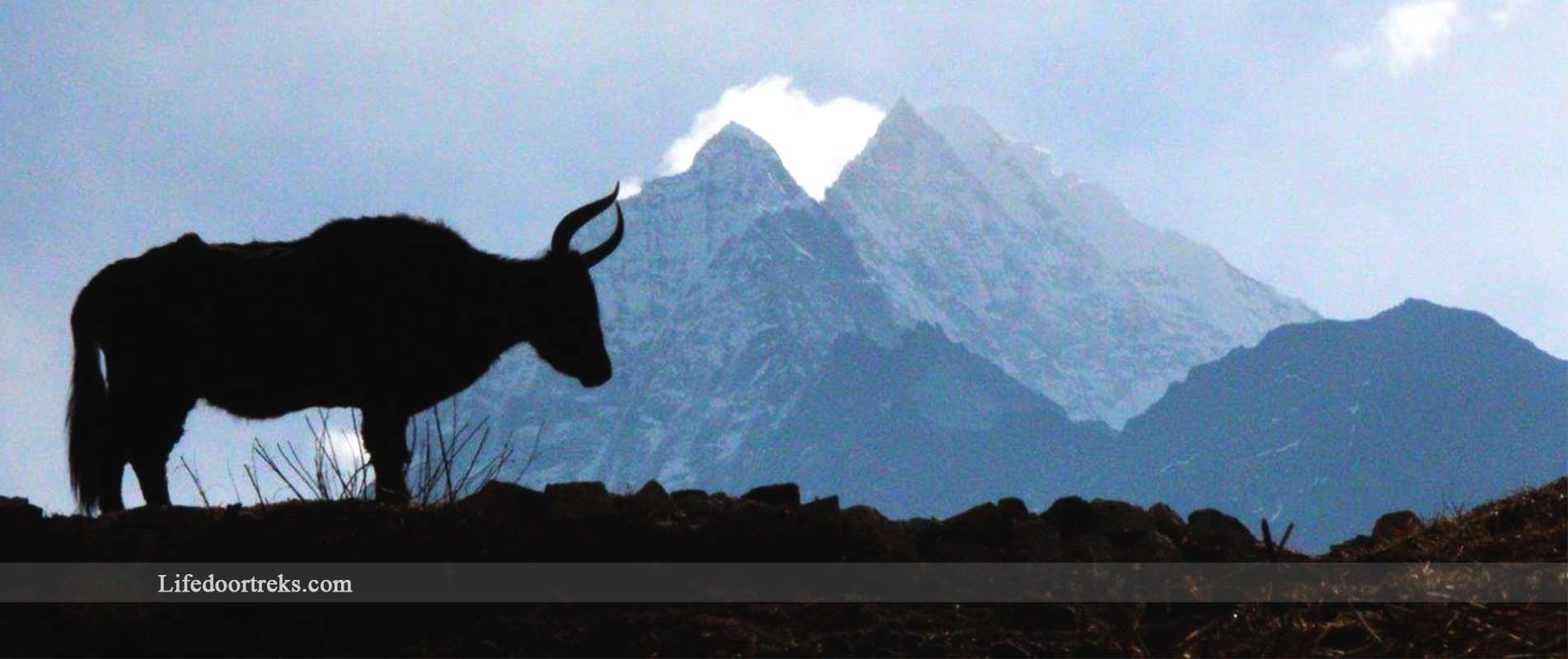 thumbnail_Everest-Trek-2017-(11)[1]